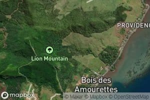 Riviere Bois des Amourettes