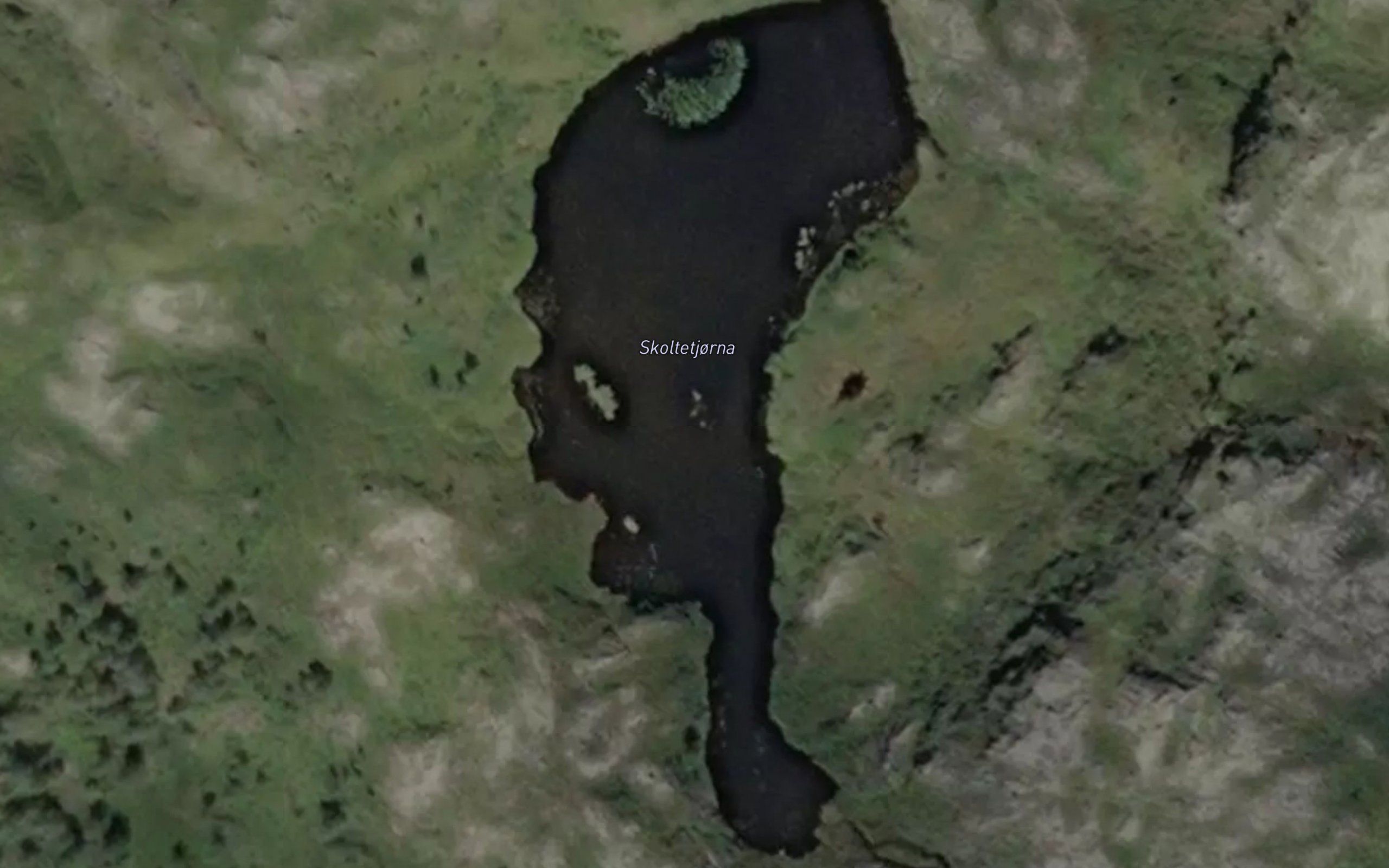 Skoltetjorna