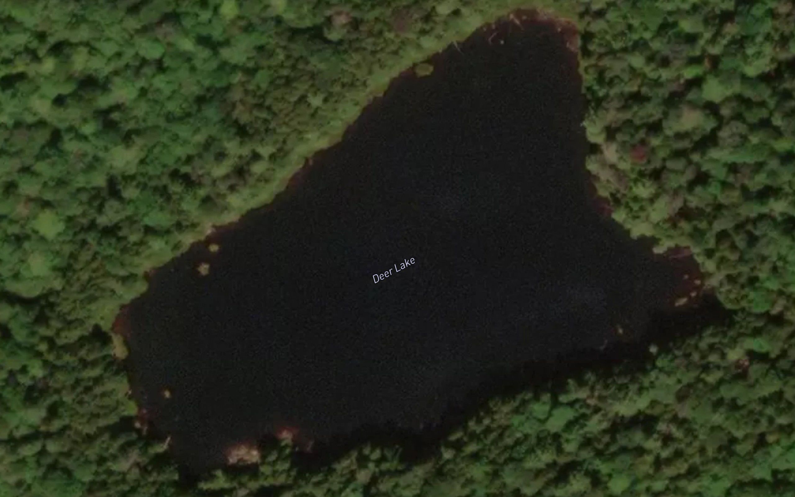 Deer Lake