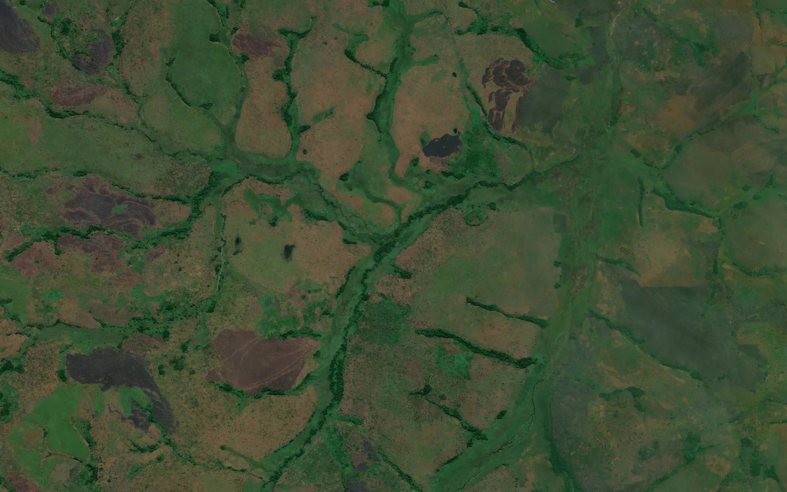 Kalungui