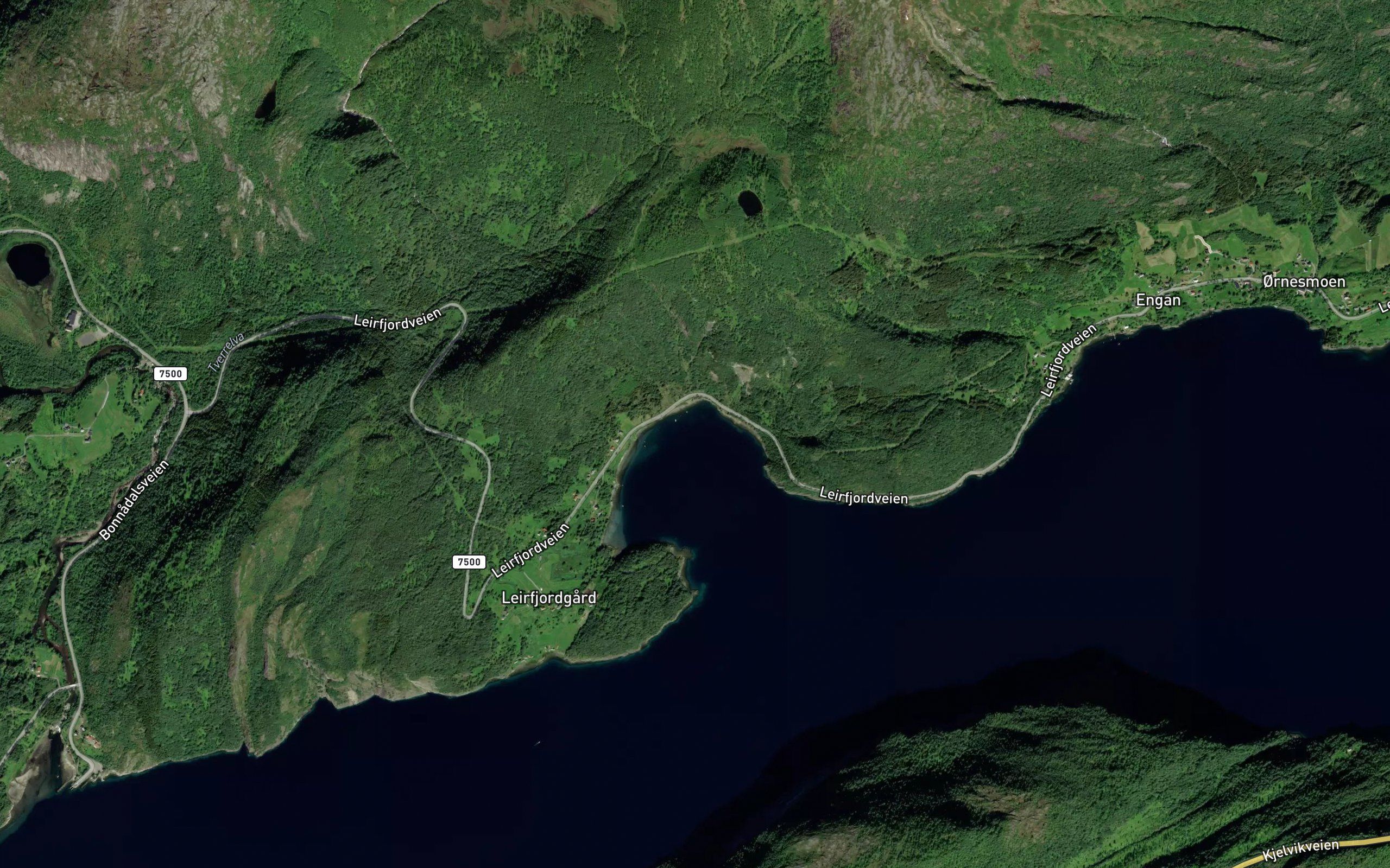 Kalovika