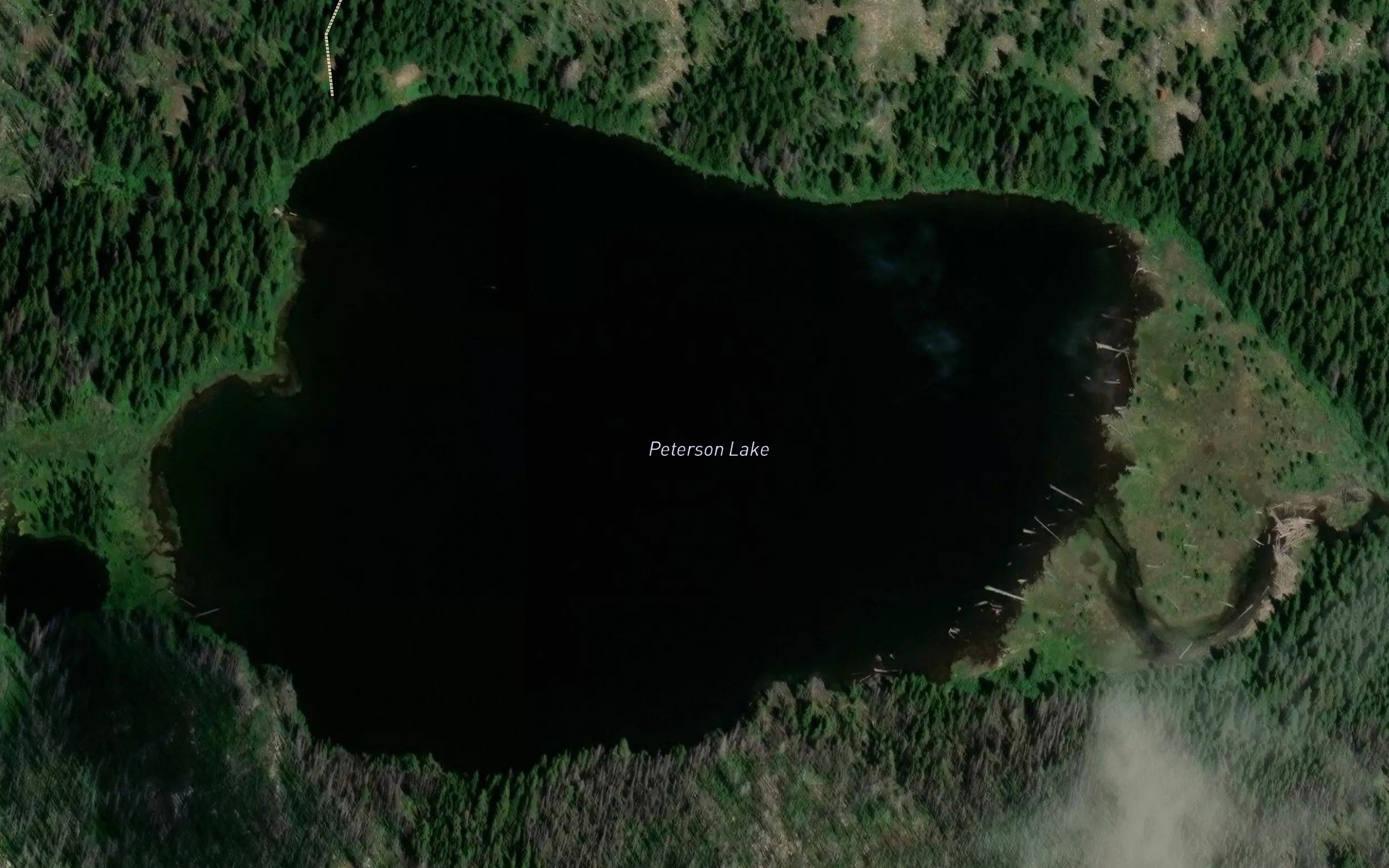 Satellite map of the Peterson Lake