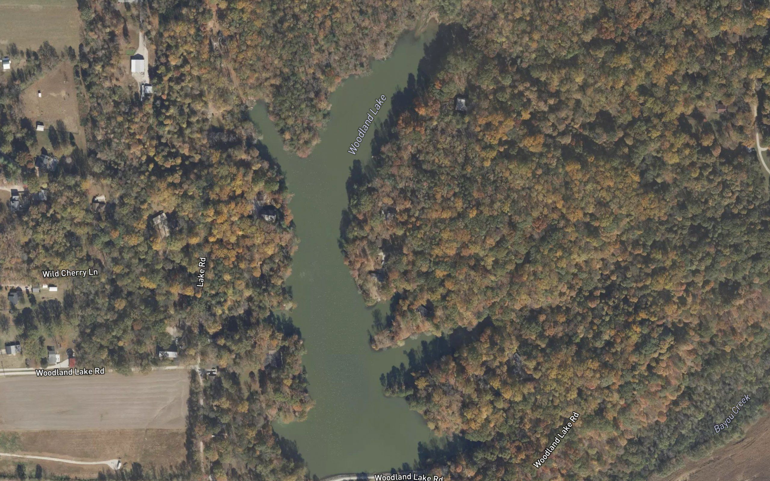 Woodland Lake