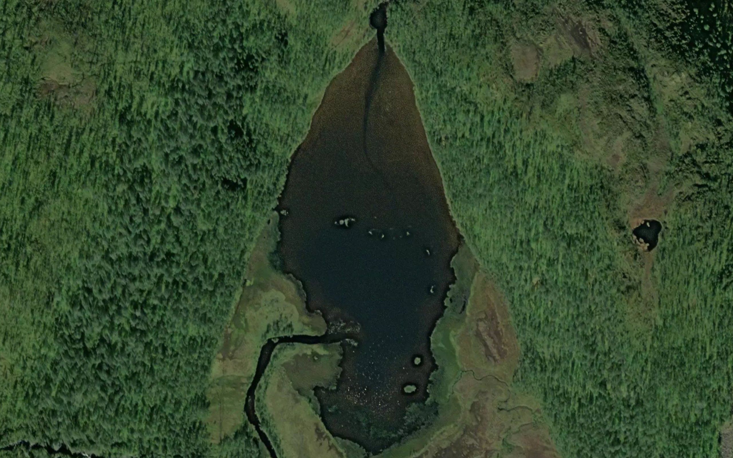 Bukkevatnet