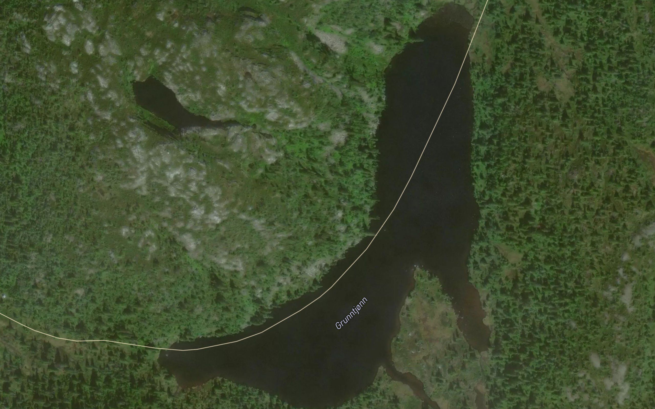 Grunntjorn