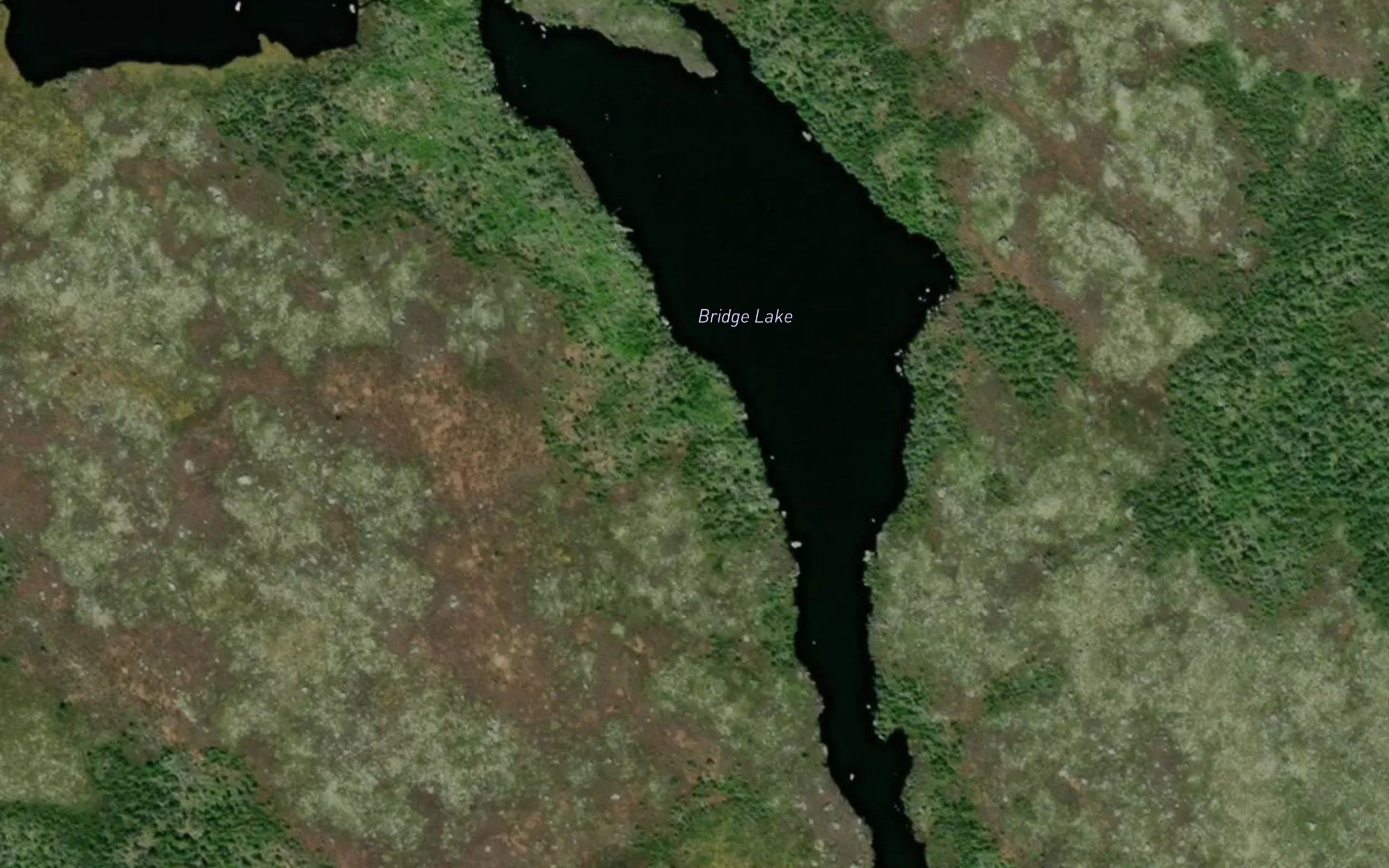 Bridge Lake