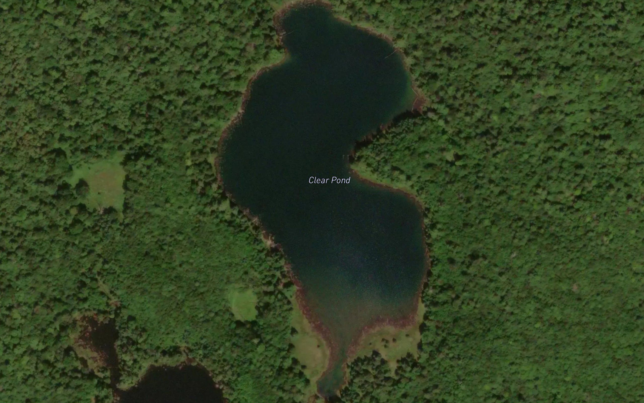 Clear Pond