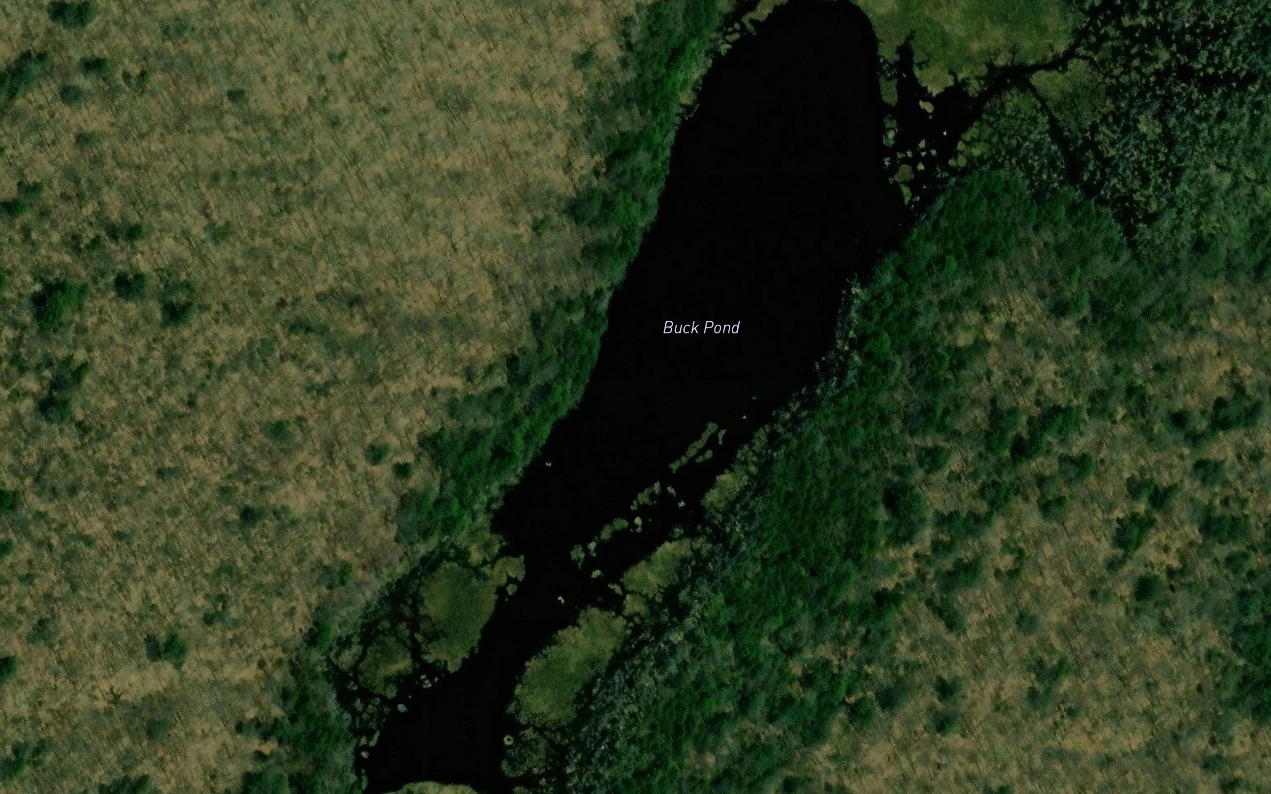 Buck Pond