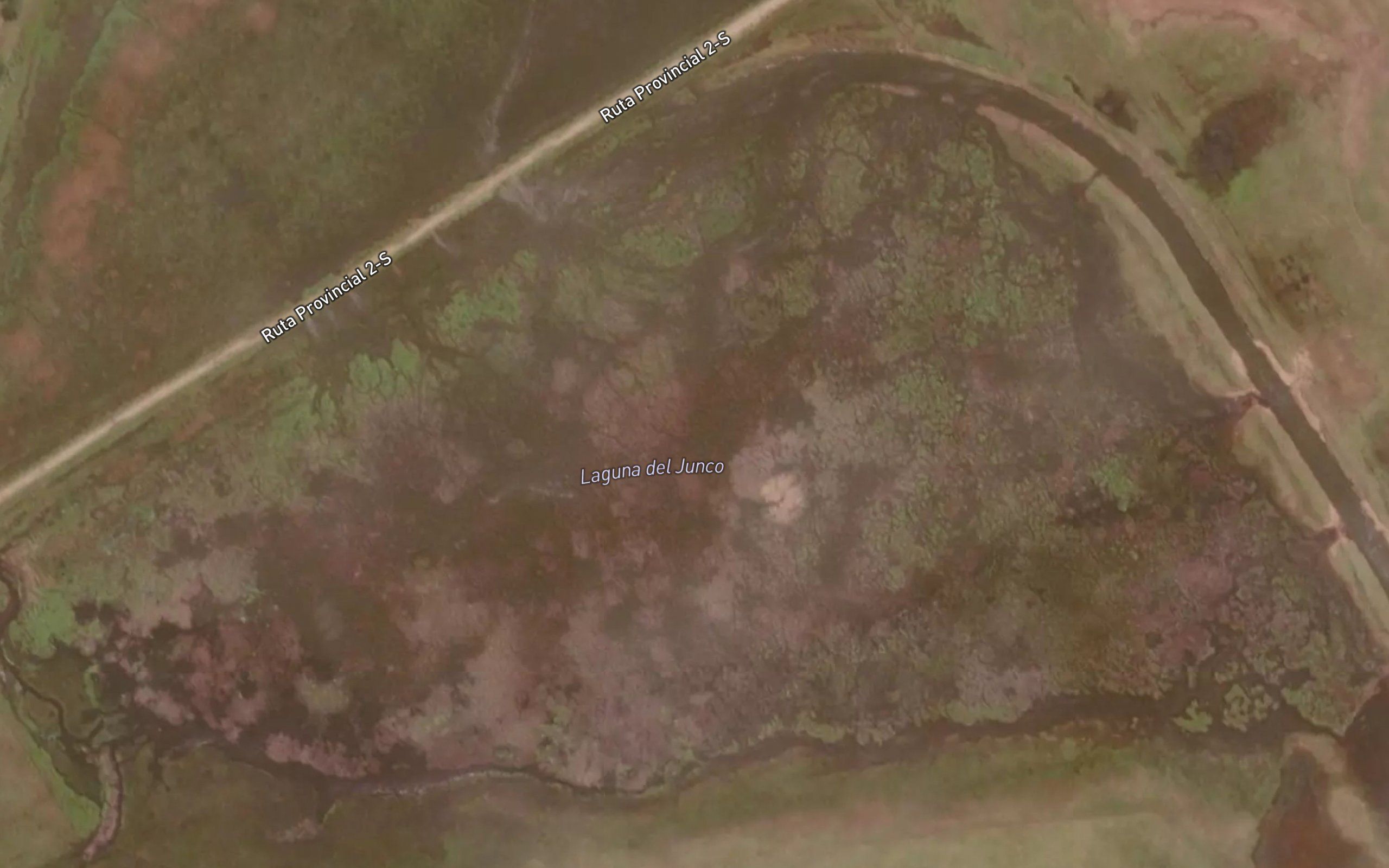 Laguna del Junco