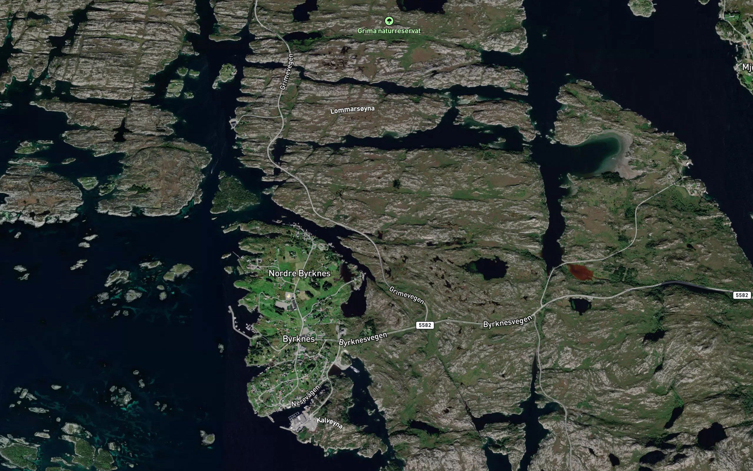 Paddetjorna