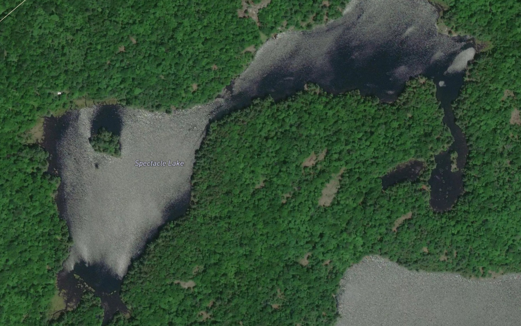Satellite map of the Spectacle Lake