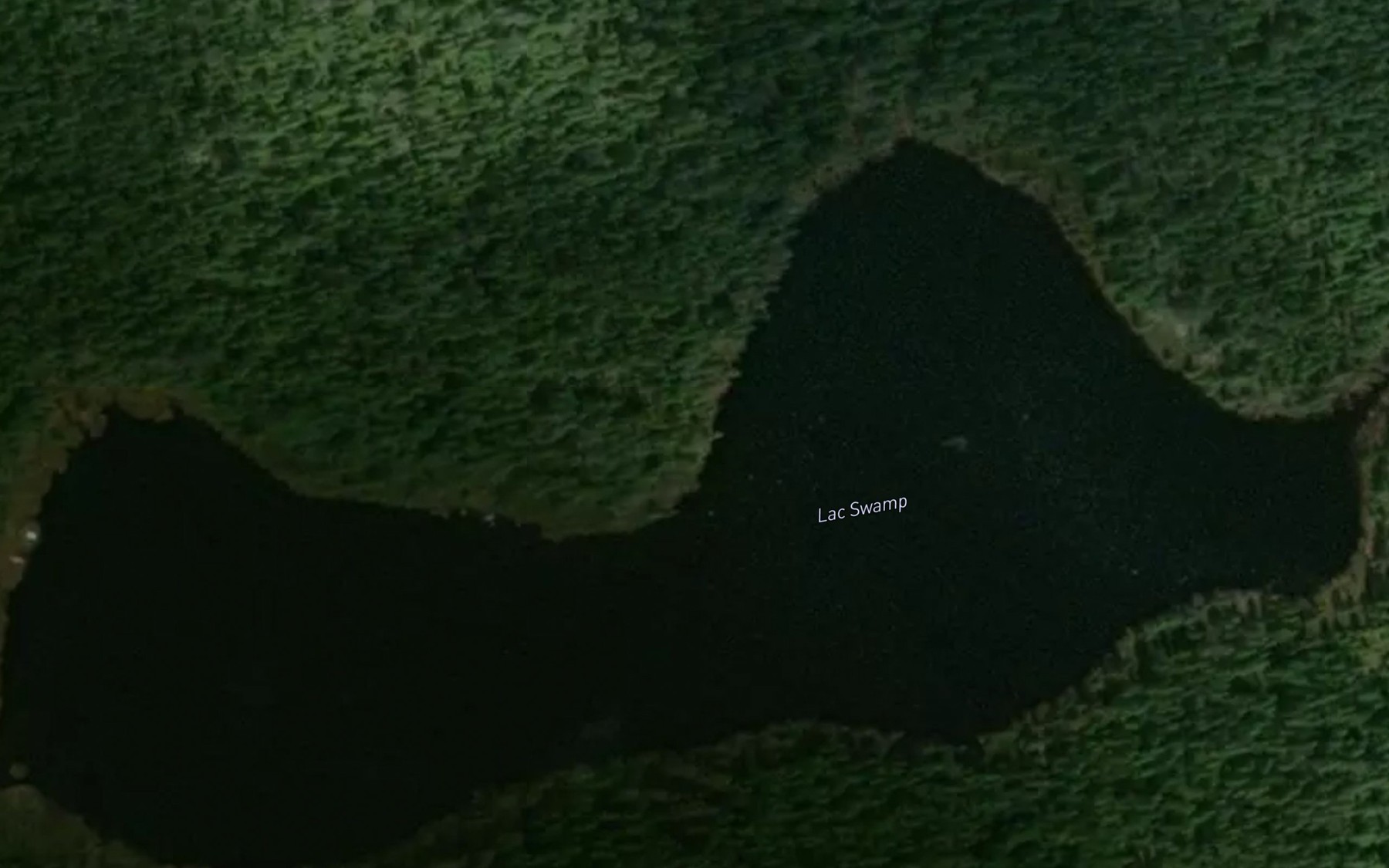 Satellite map of the Lac Swamp
