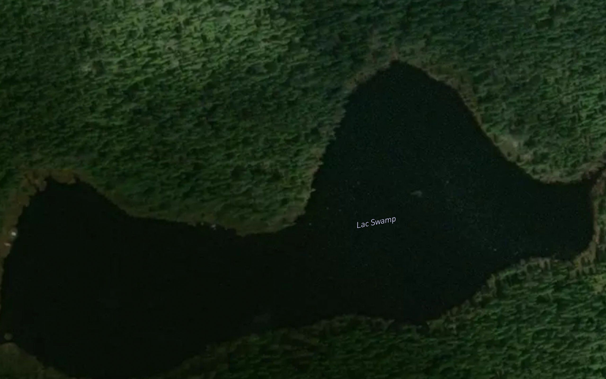 Lac Swamp