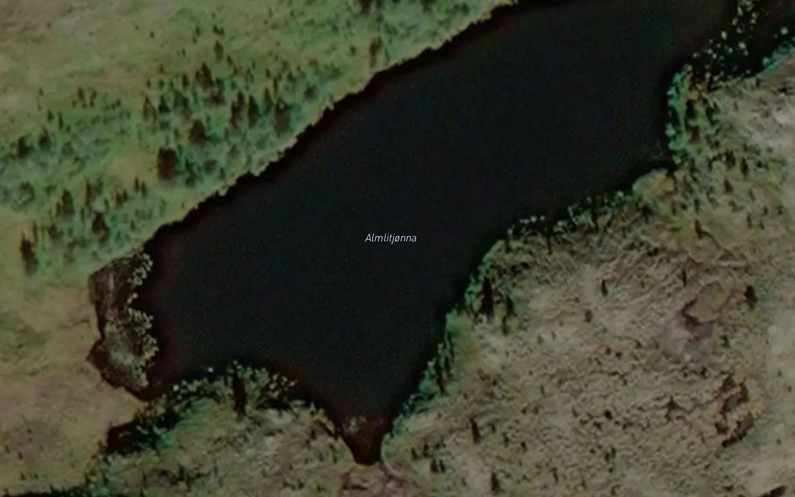 Almlitjorna