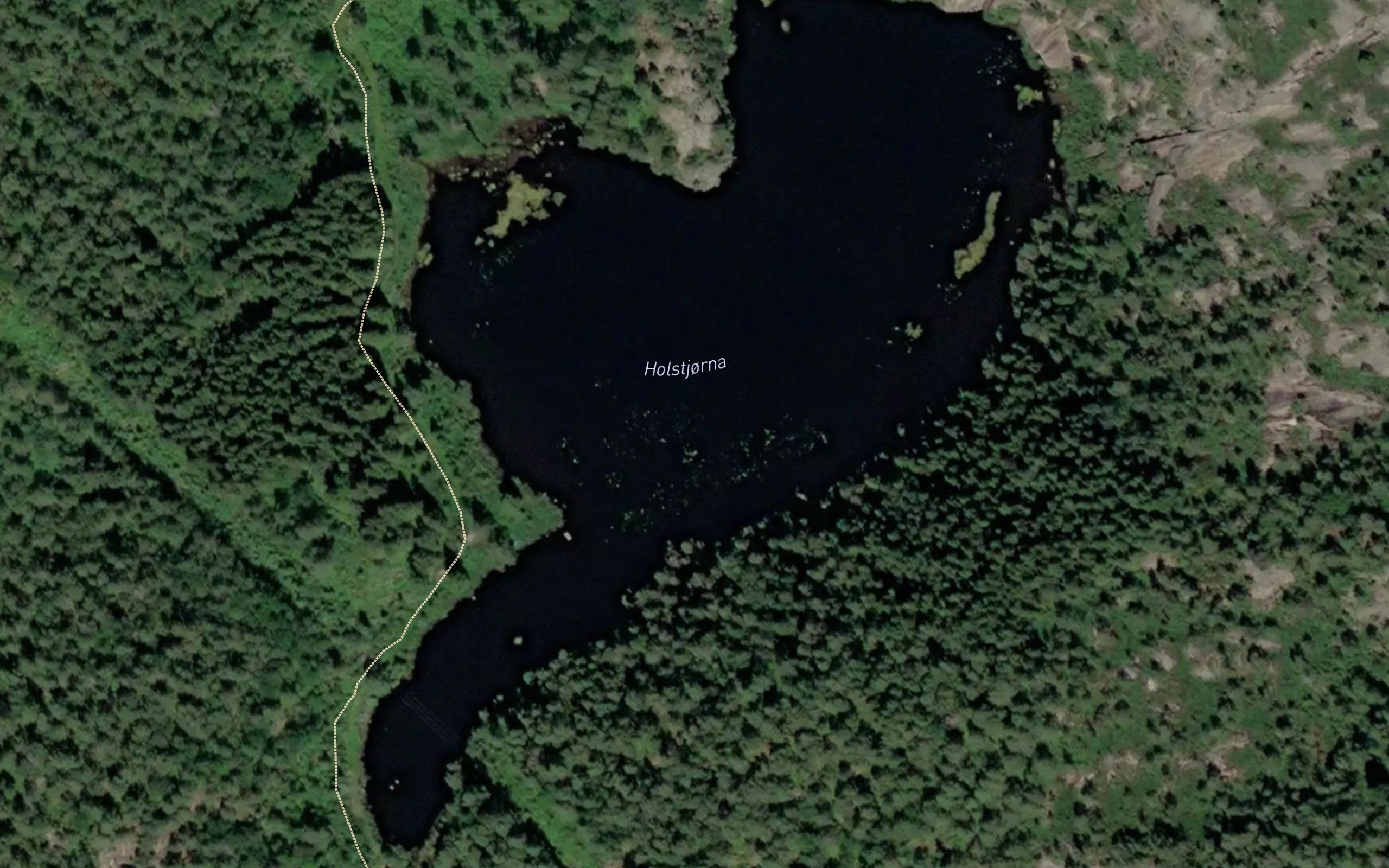 Holstjorna