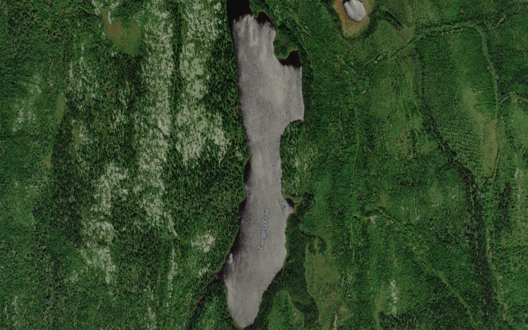 Satellite map of the Lac de la Fraie