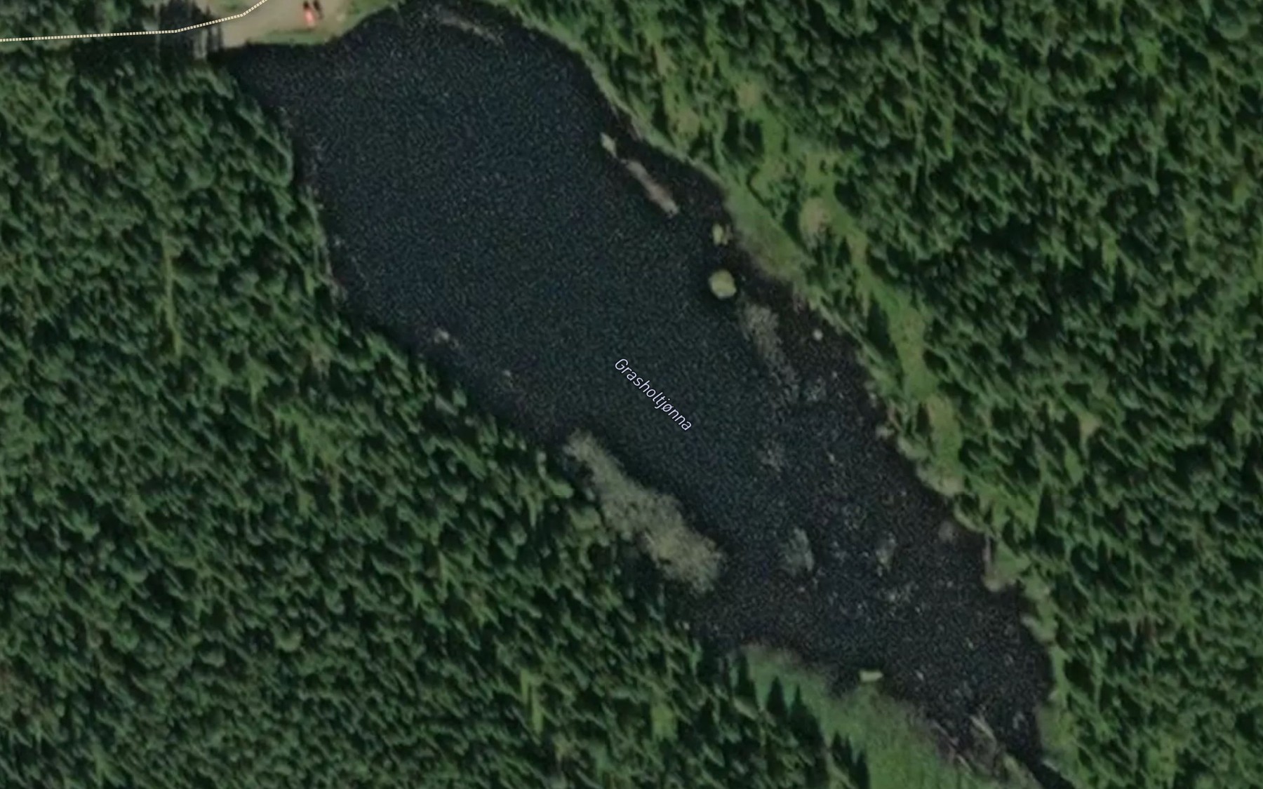 Satellite map of the Grasholtjonna