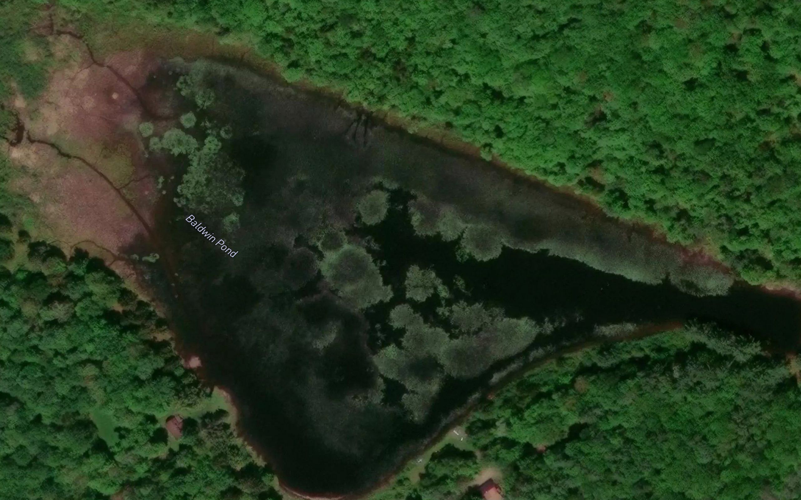 Baldwin Pond
