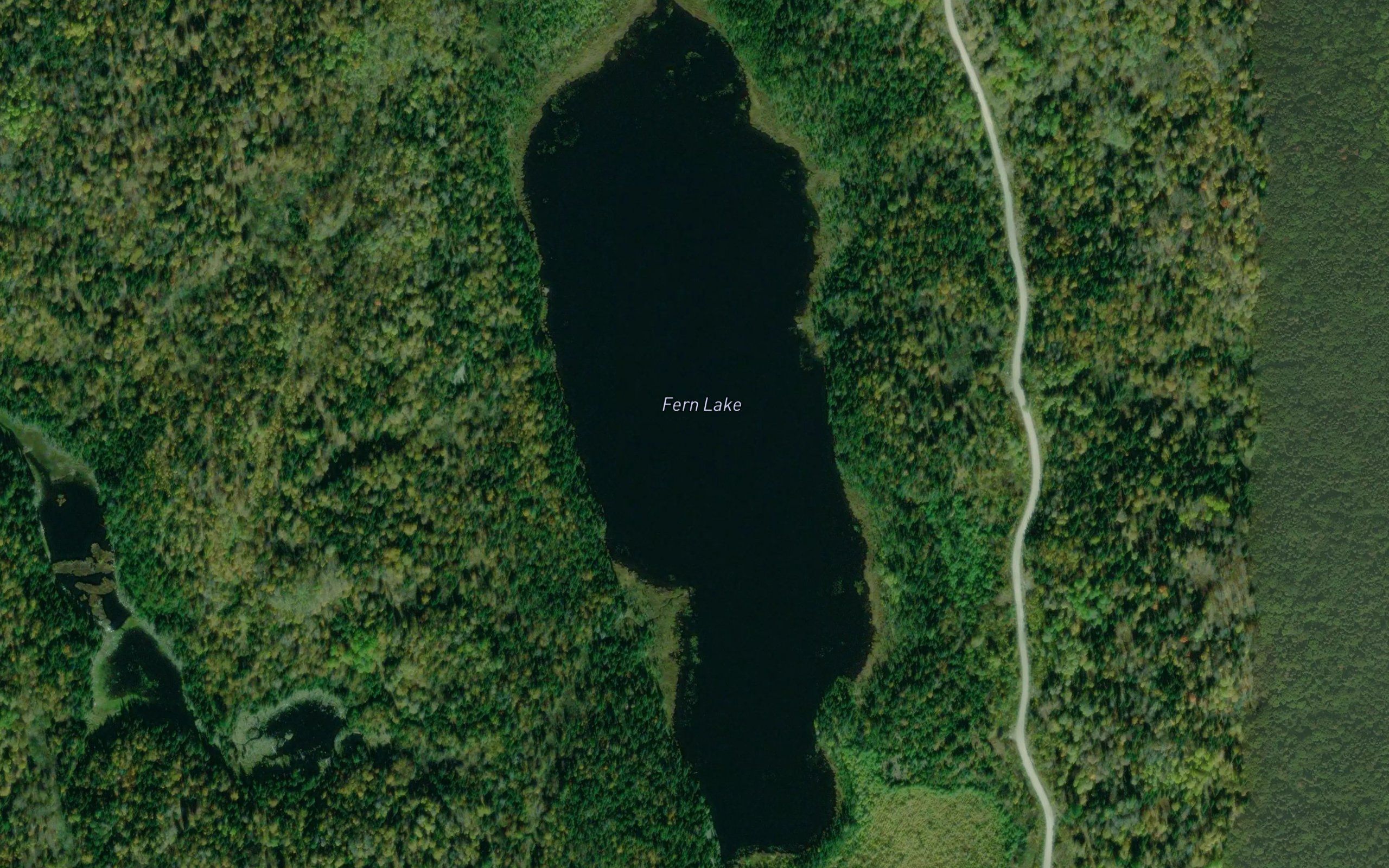 Fern Lake