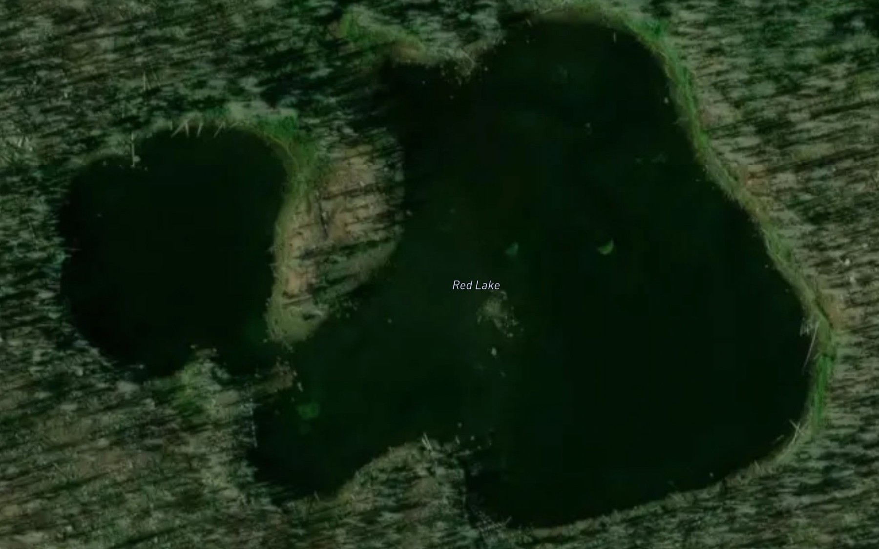 Satellite map of the Red Lake