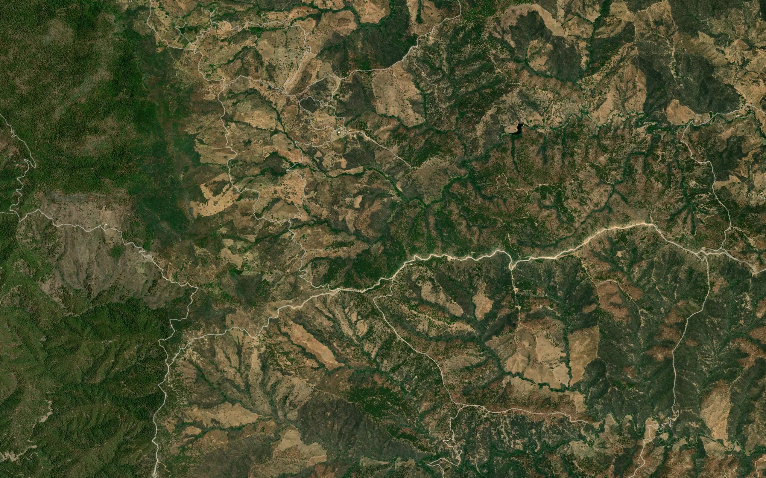 Barranca Los Muertos