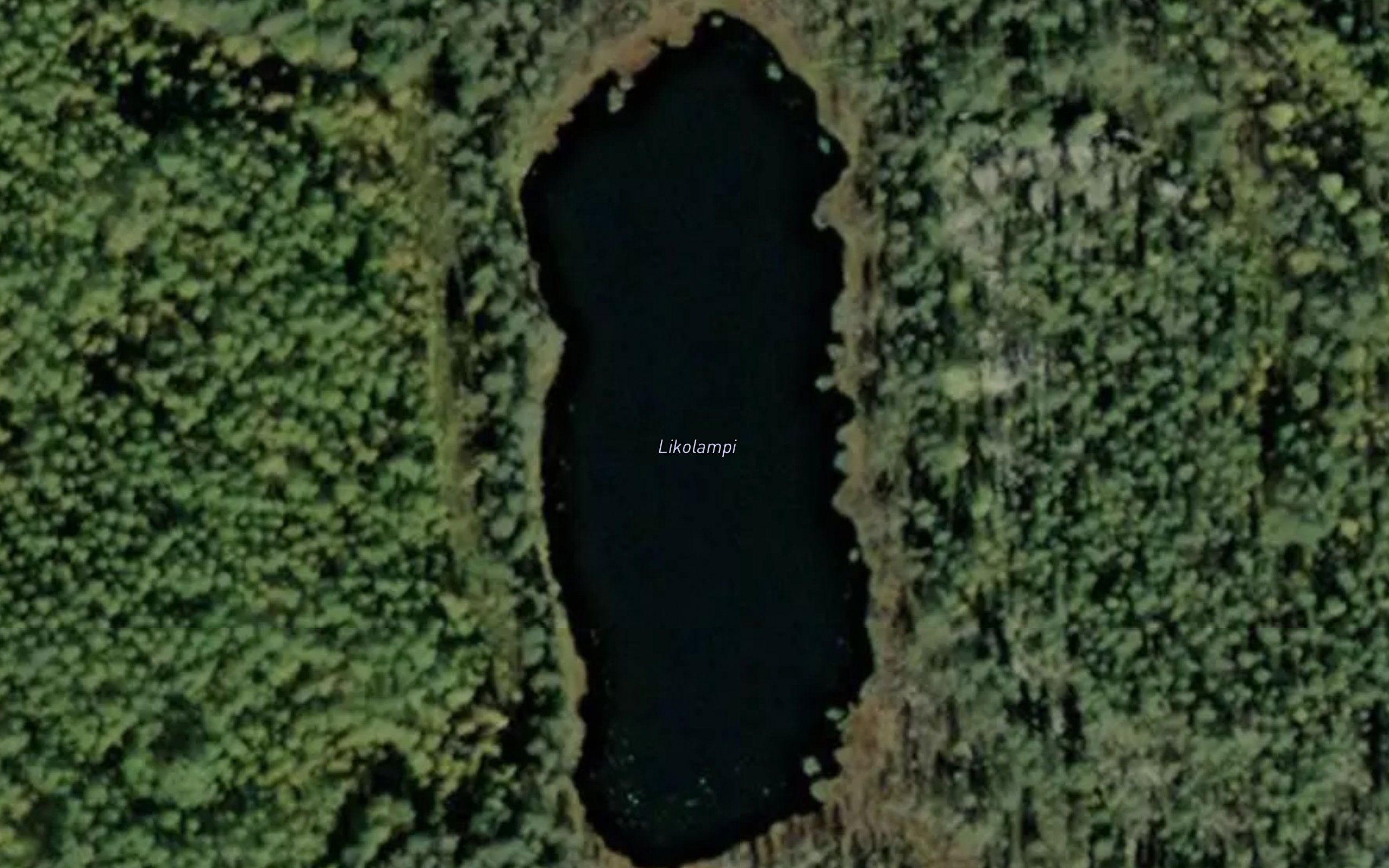 Likolampi