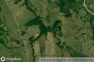 Arroyo Rancho Arriba