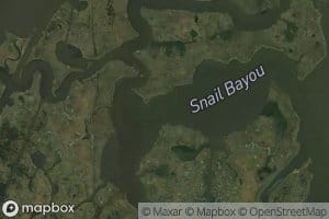 Snail Bayou