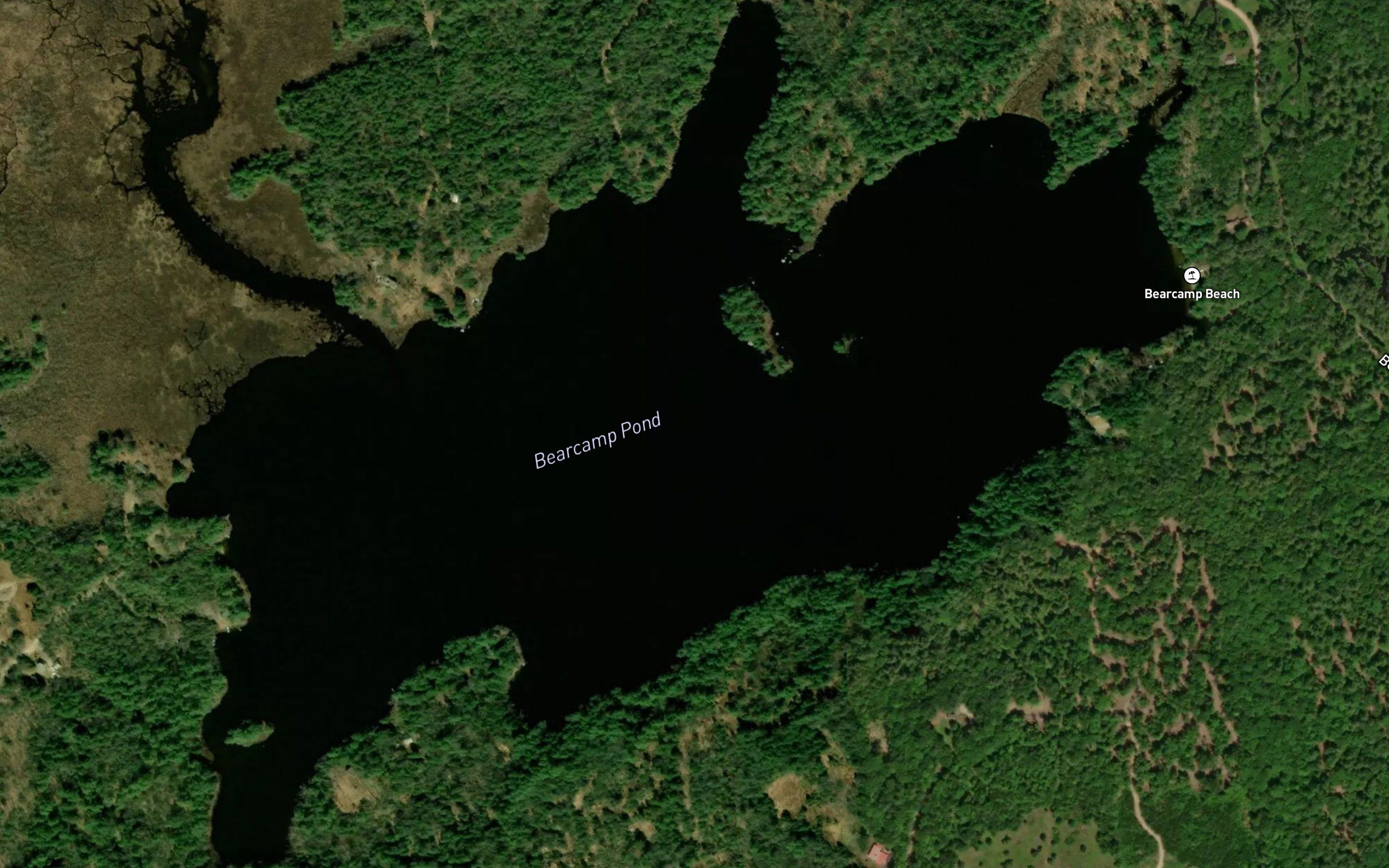 Bearcamp Pond