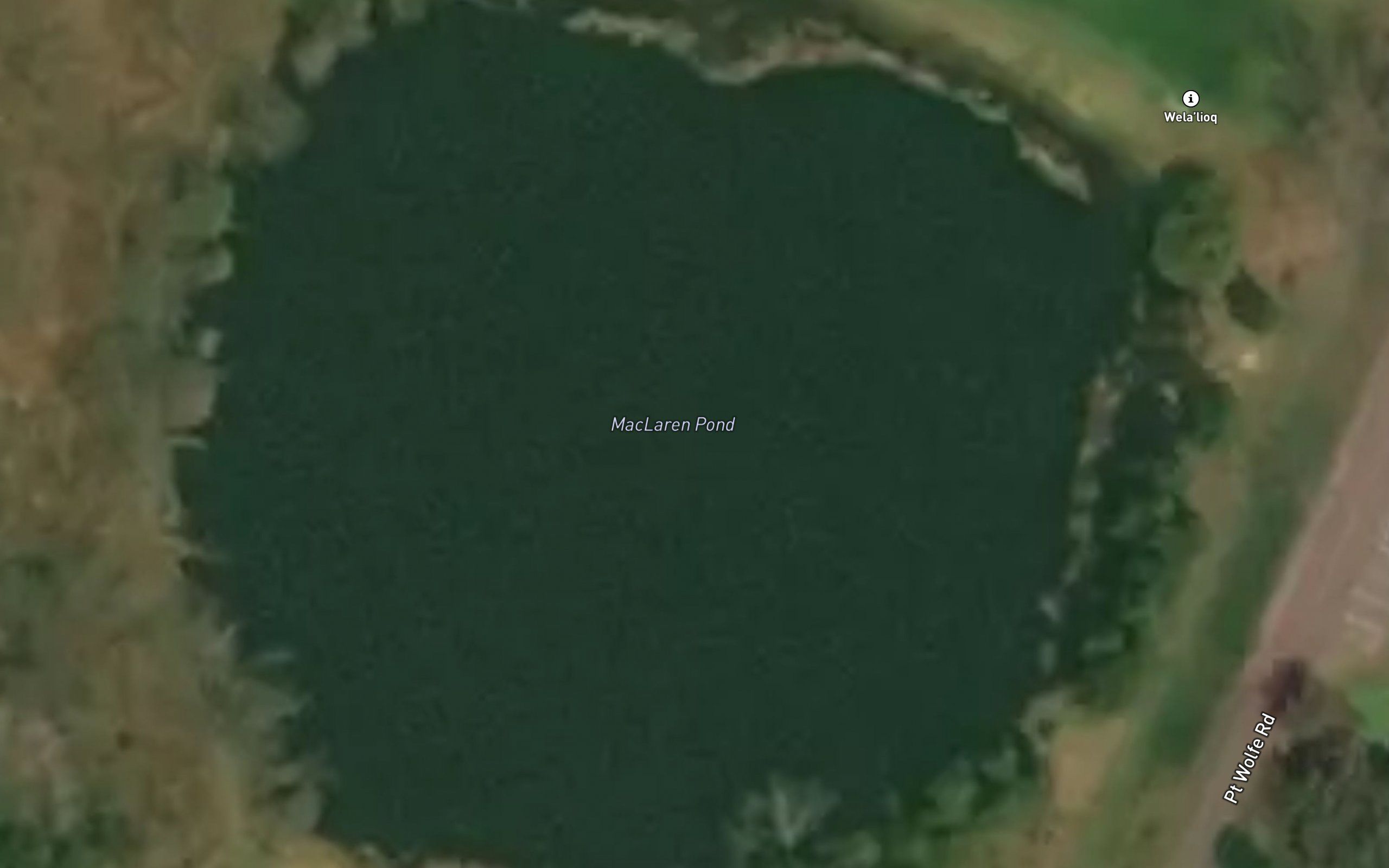 McLaren Pond