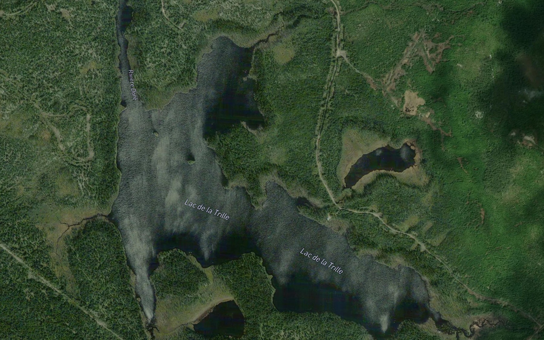 Satellite map of the Lac de la Trille