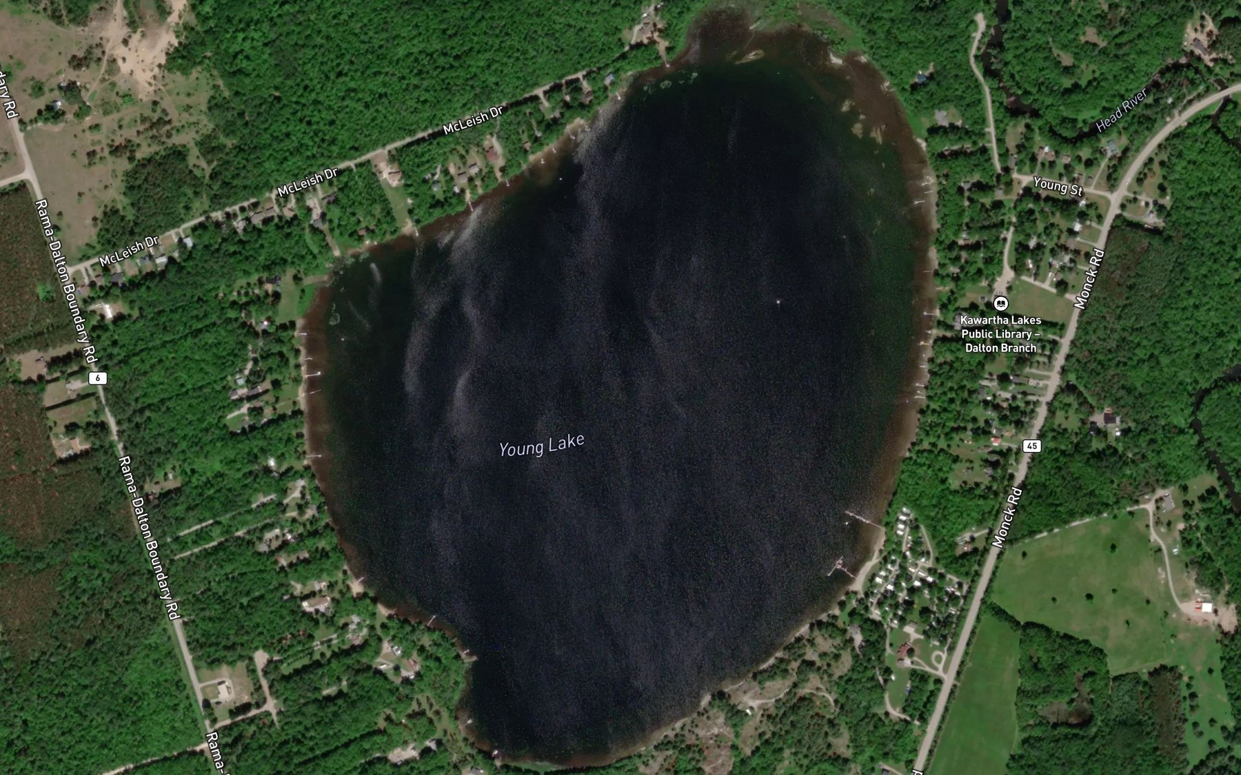 Satellite map of the Young Lake