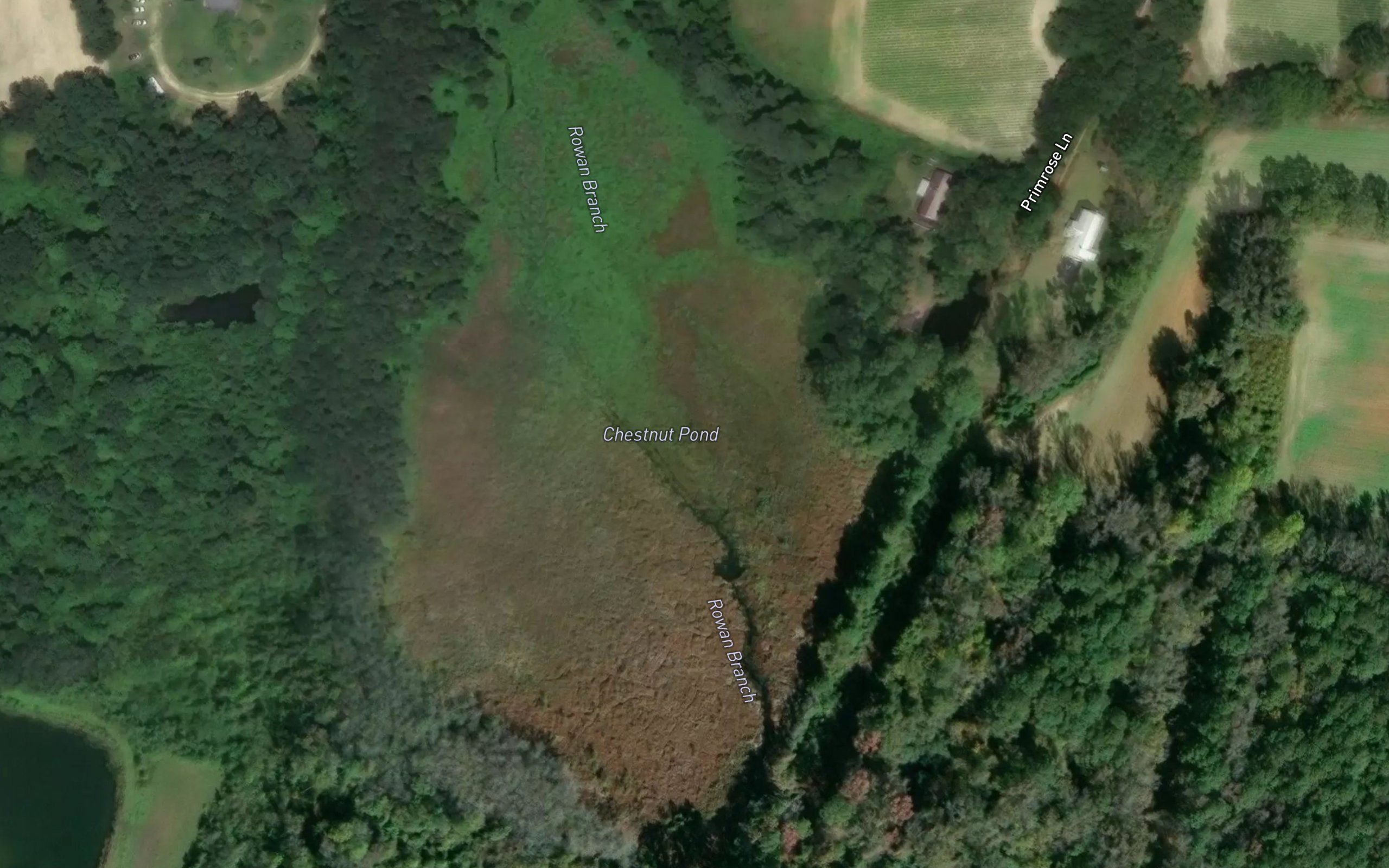 Chestnut Pond