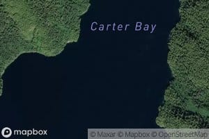 Carter Bay