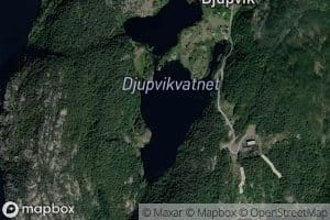 Djupvikvatnet