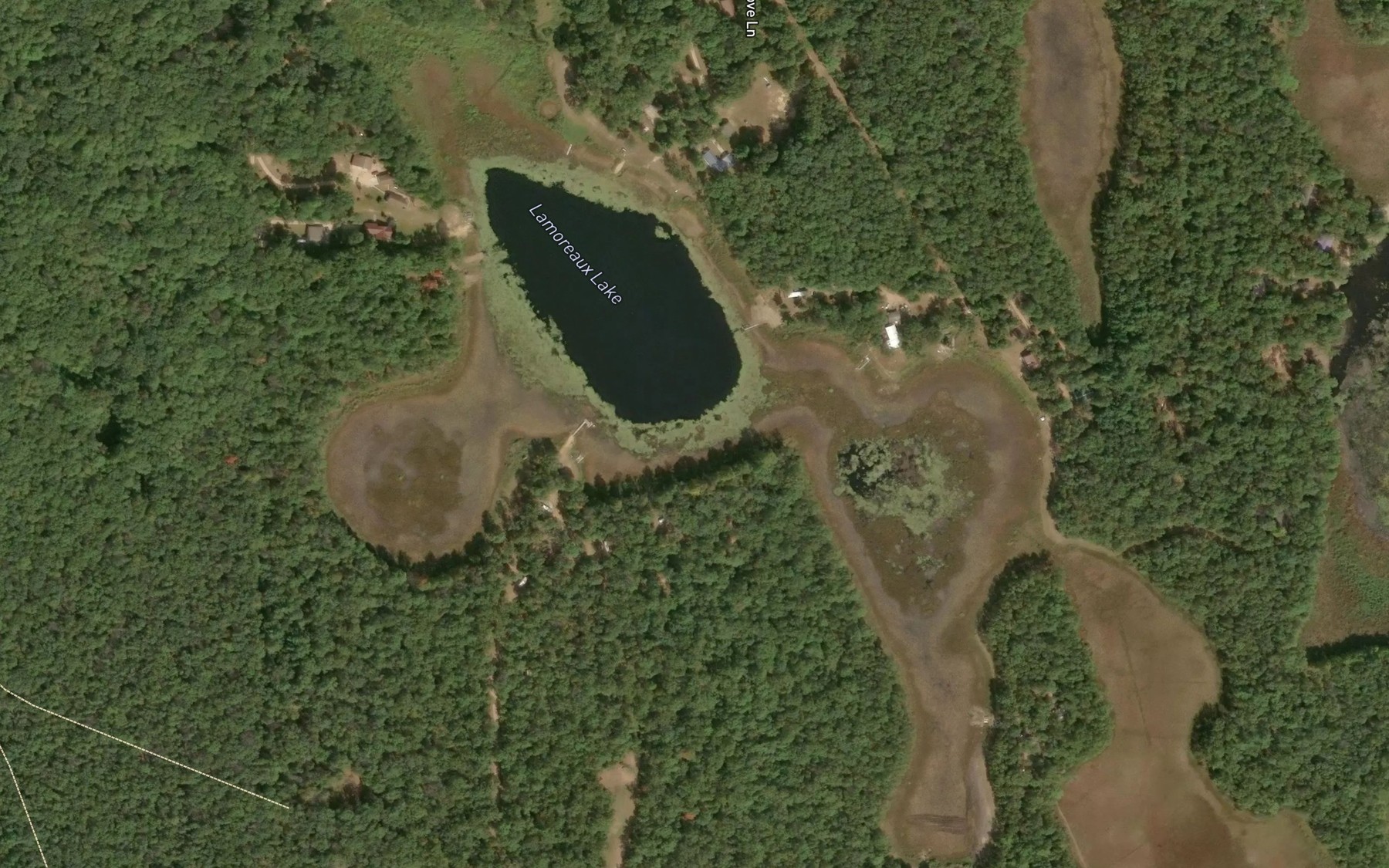 Satellite map of the Lamoreaux Lake