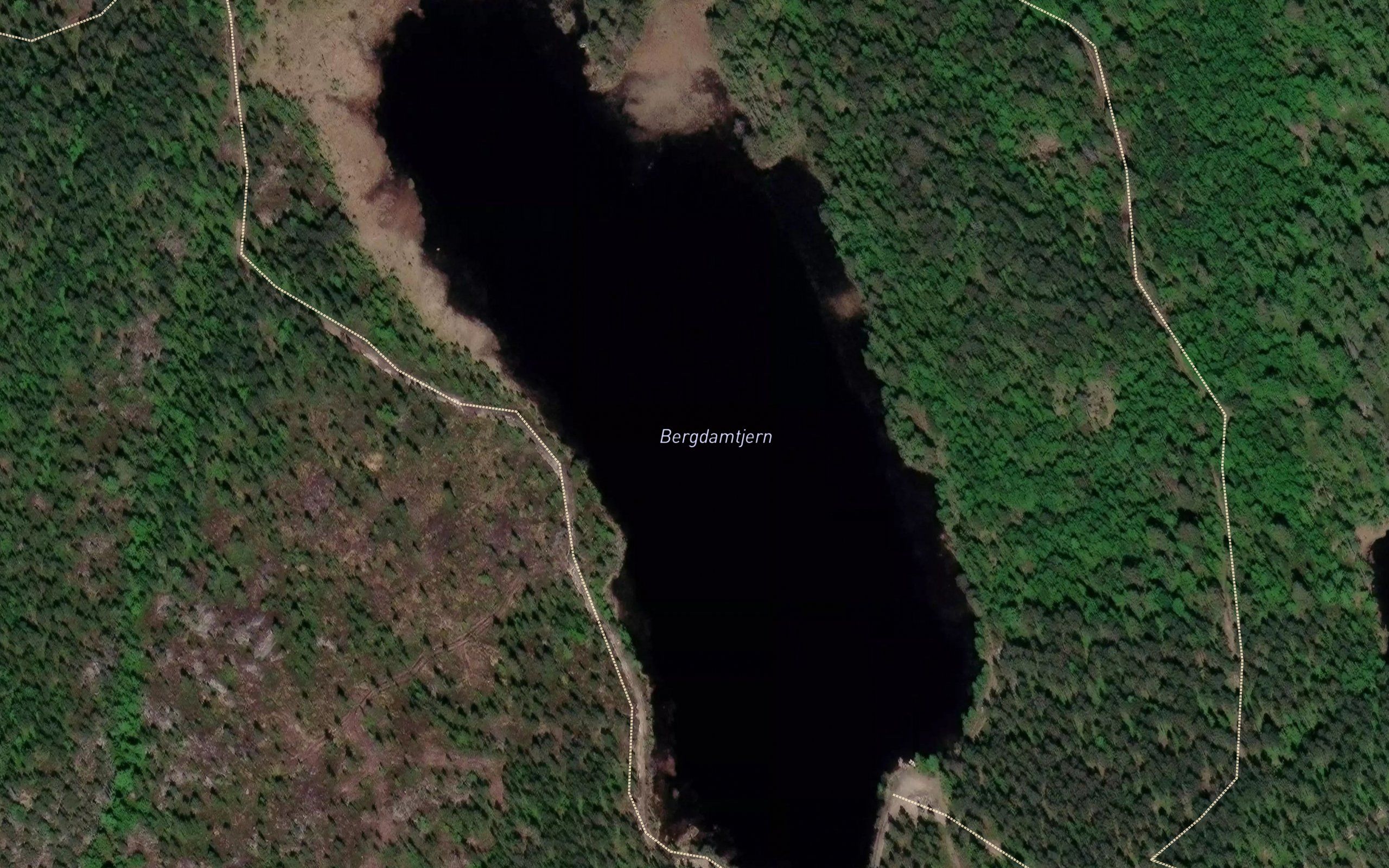 Bergdamtjern