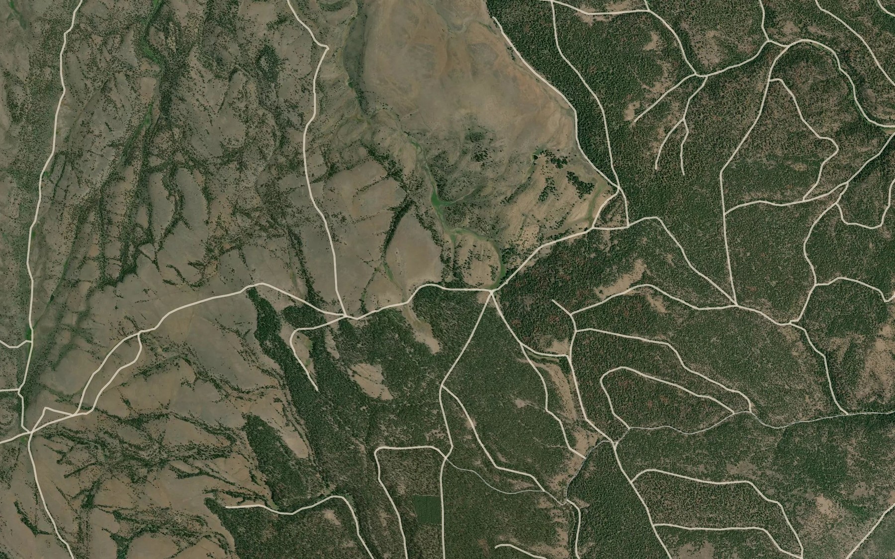 Satellite map of the Doe Spring