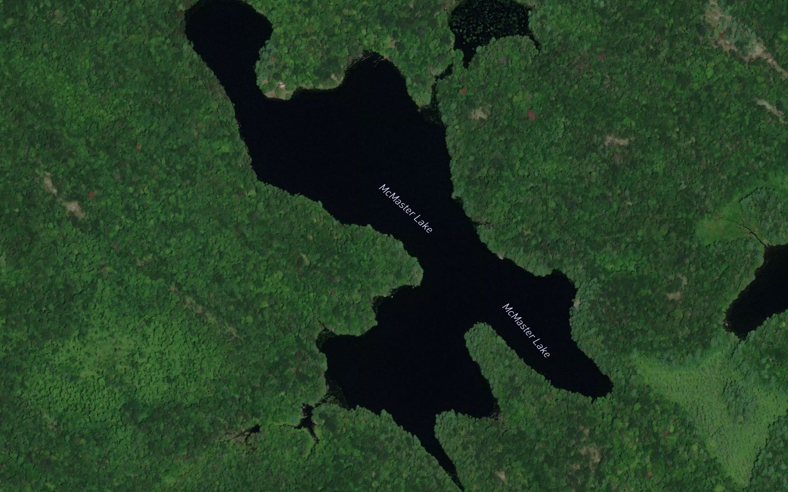McMaster Lake