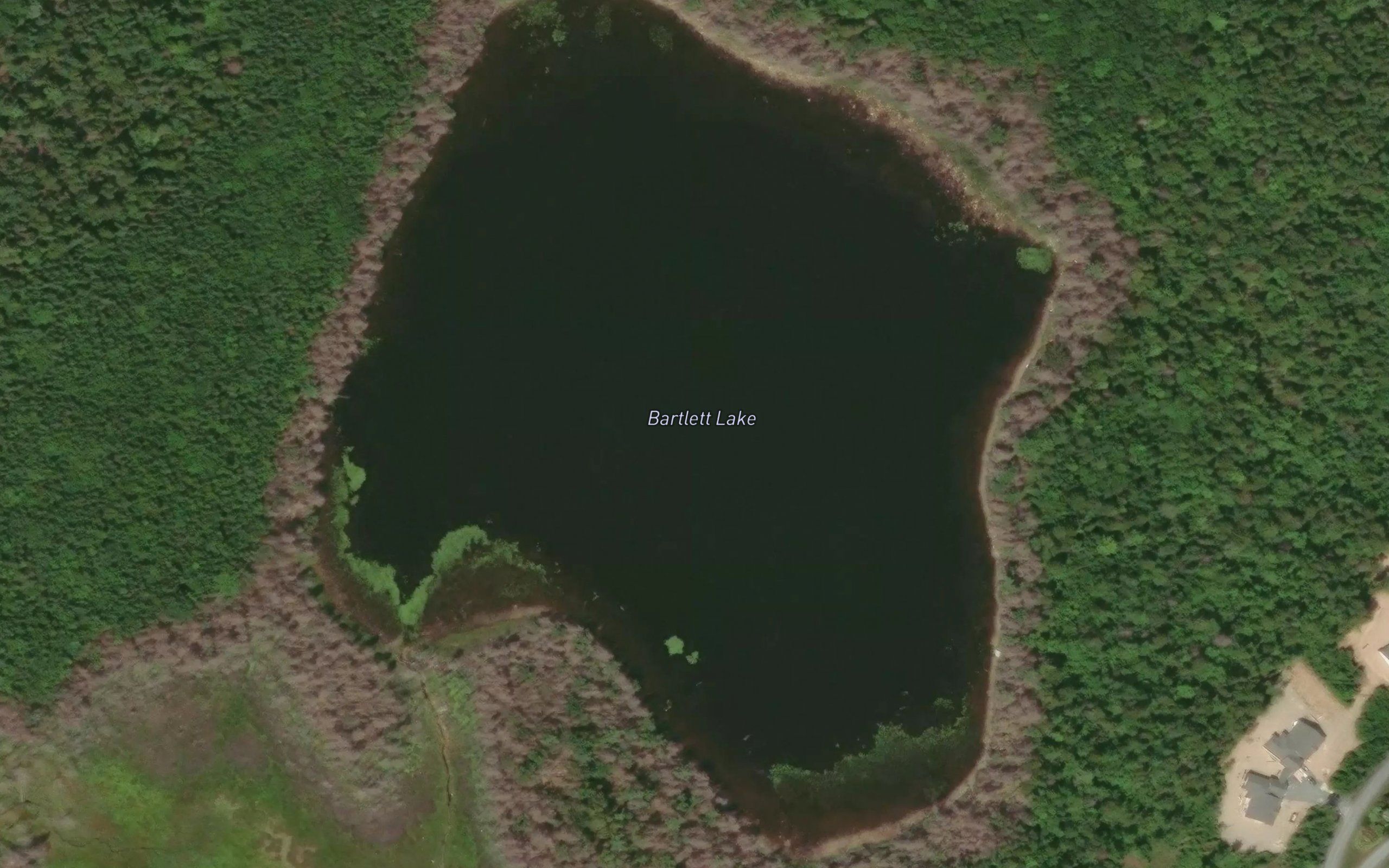 Bartlett Lake