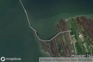 Cat Cove