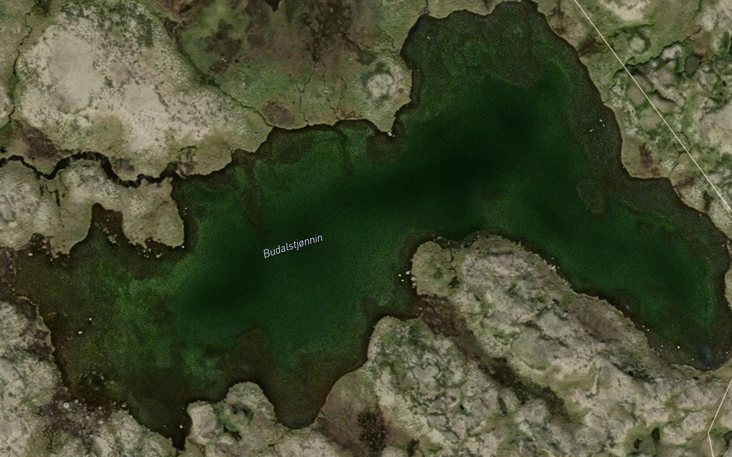 Budalstjornan