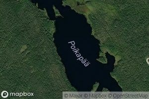 Poikapaa
