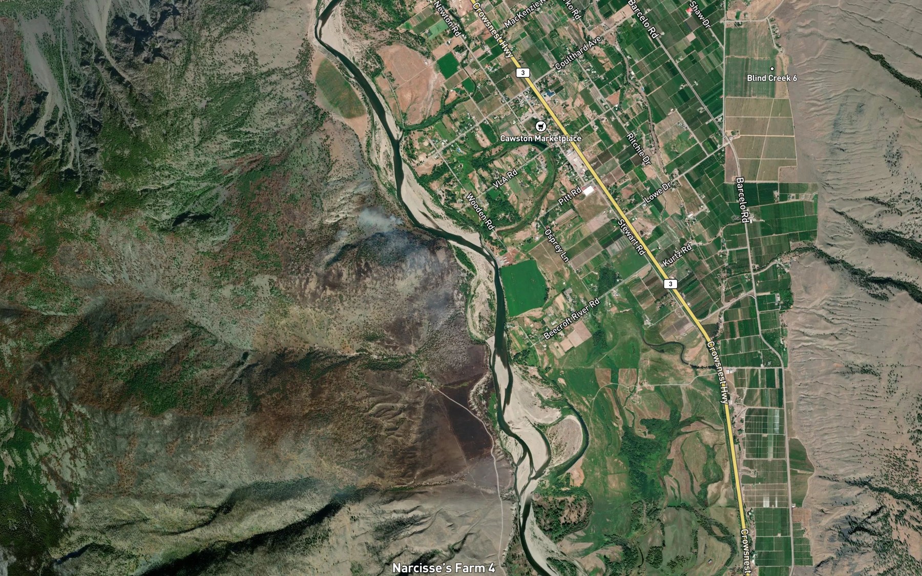 Satellite map of the Lowe Slough