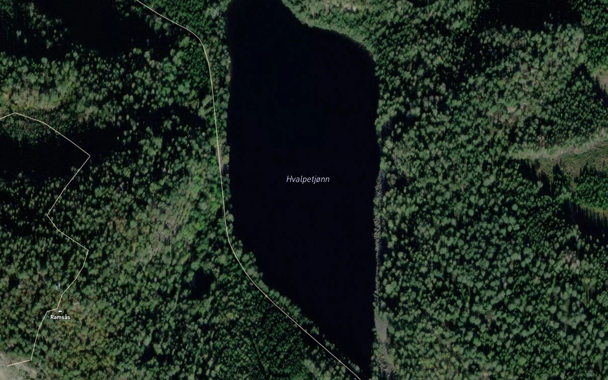 Hvalpetjorn