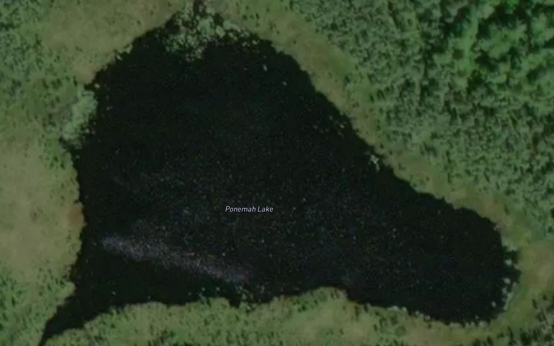 Satellite map of the Ponemah Lake