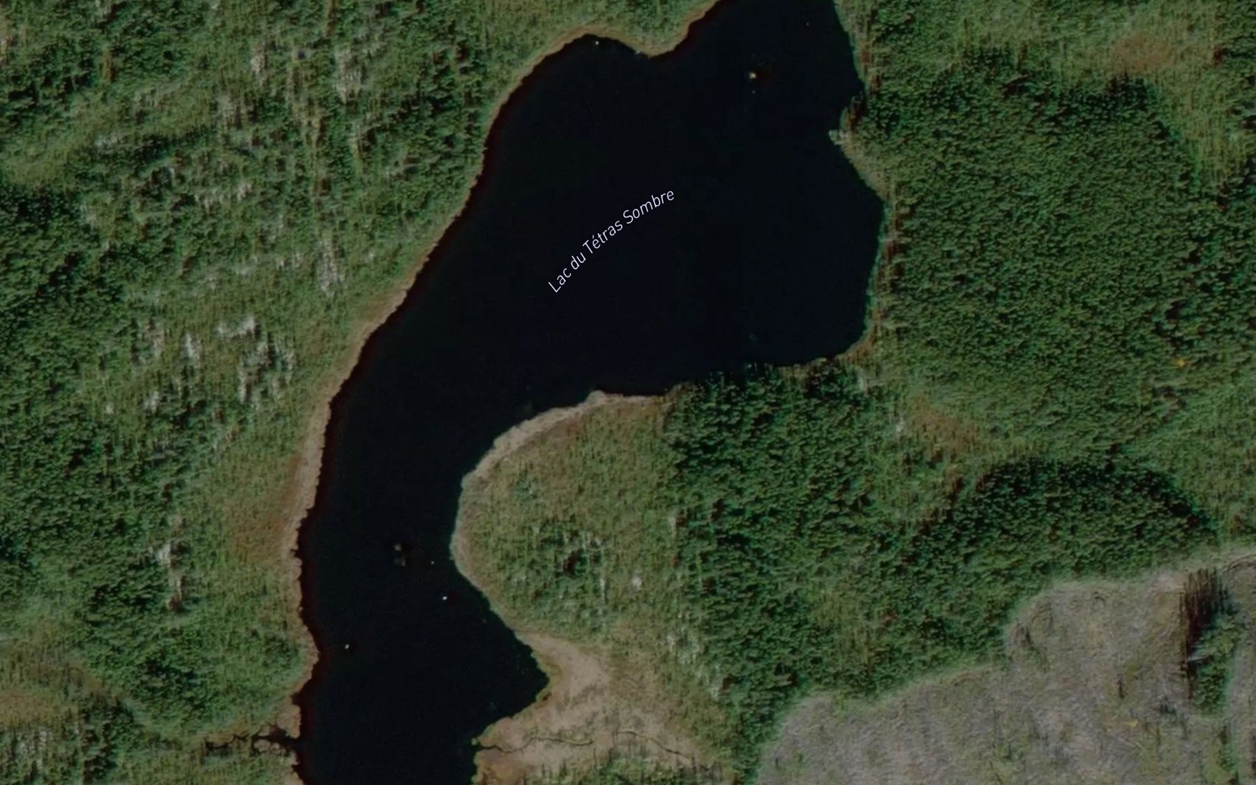 Satellite map of the Lac du Tetras Sombre