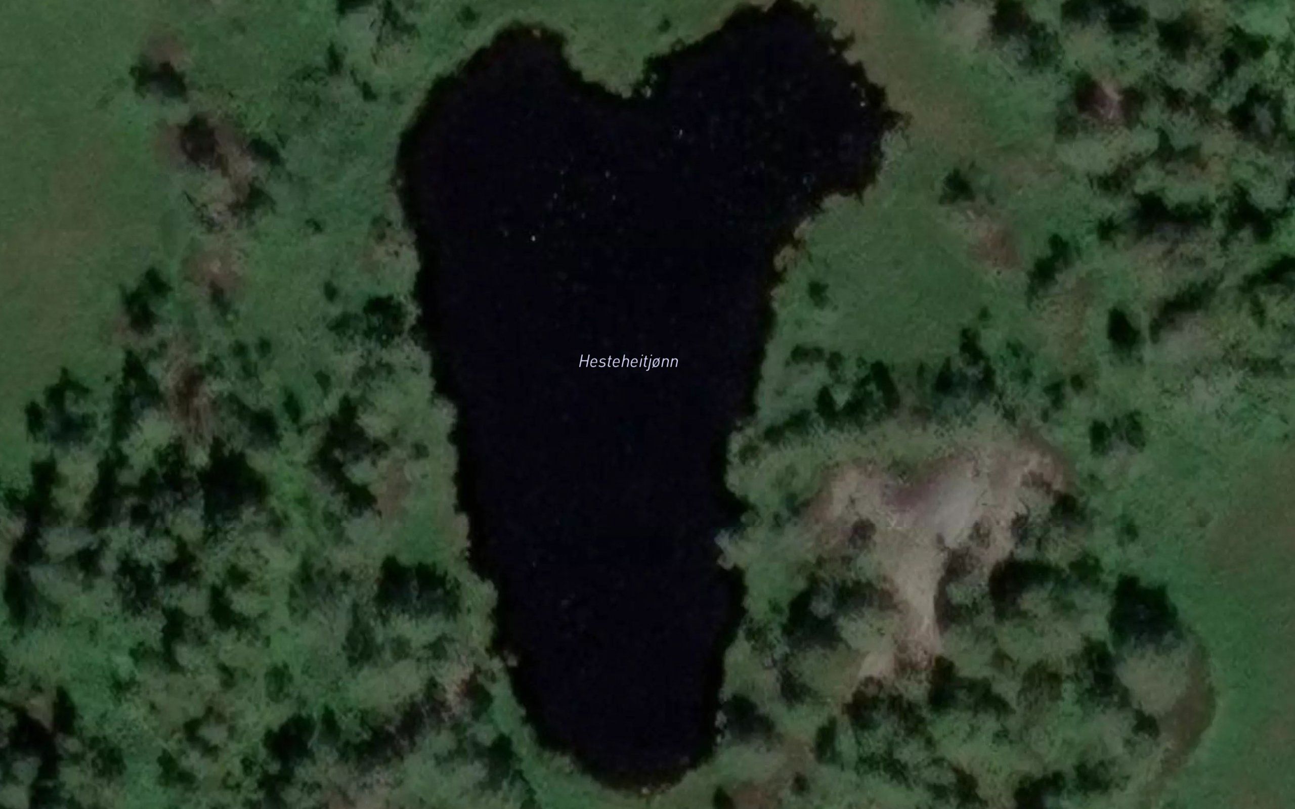 Hesteheitjonn