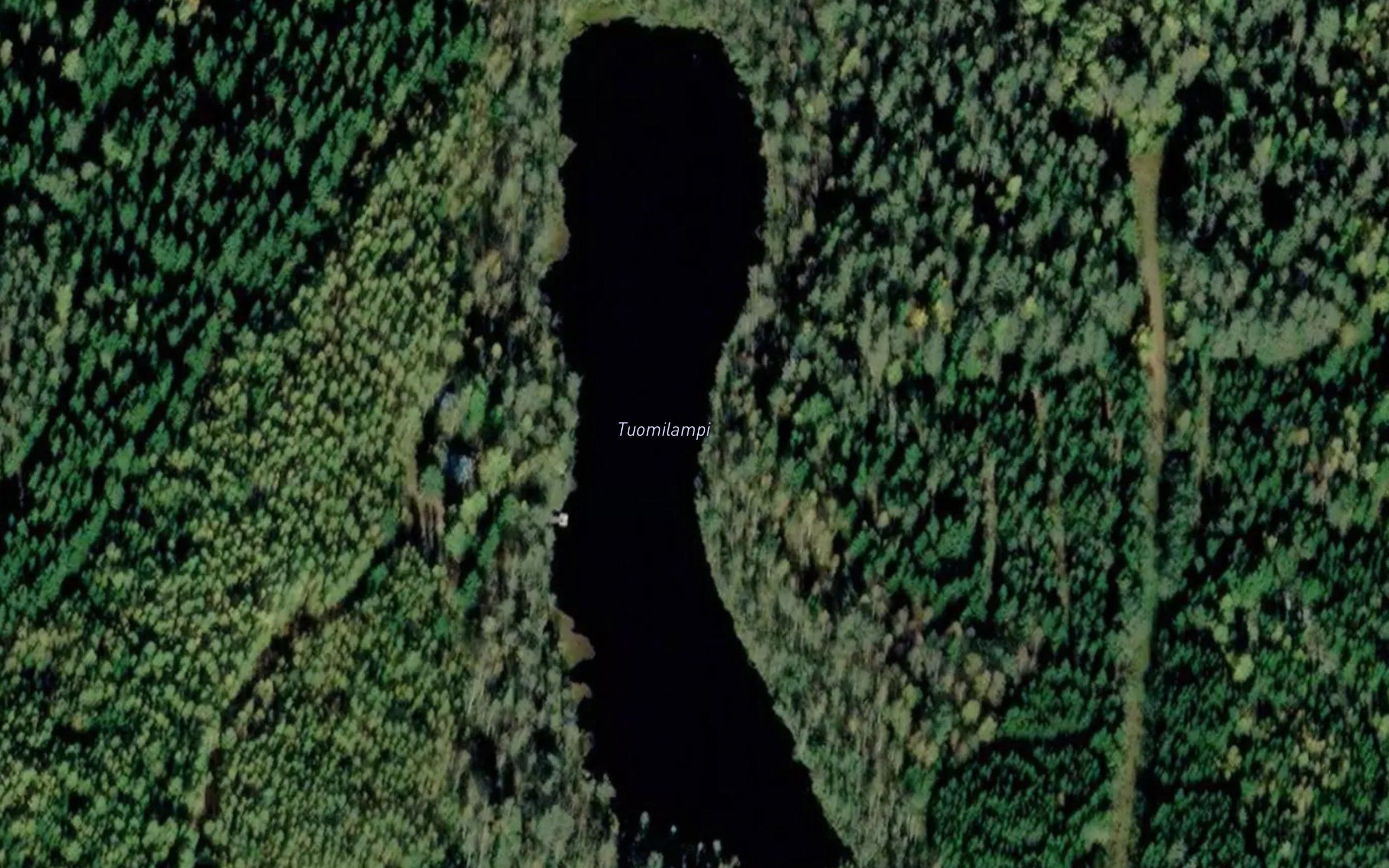 Tuomilampi