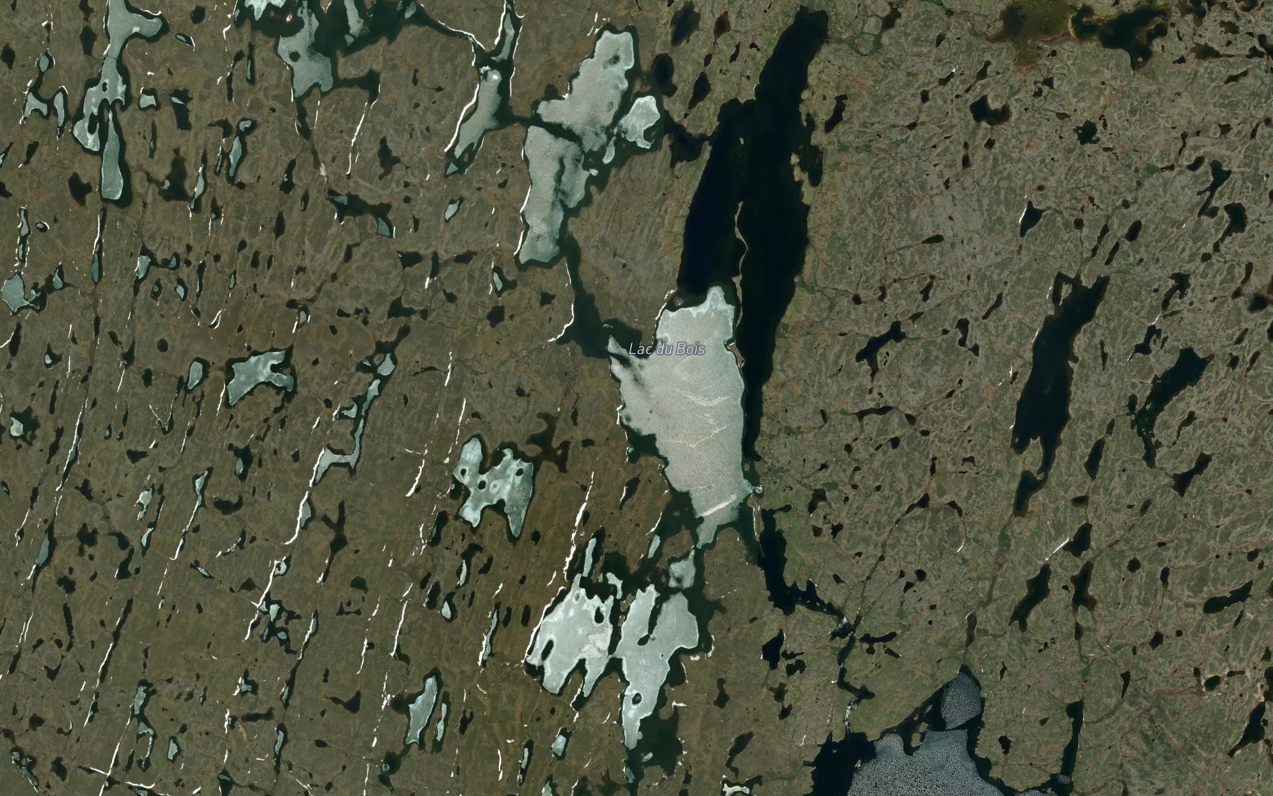 Lac du Bois